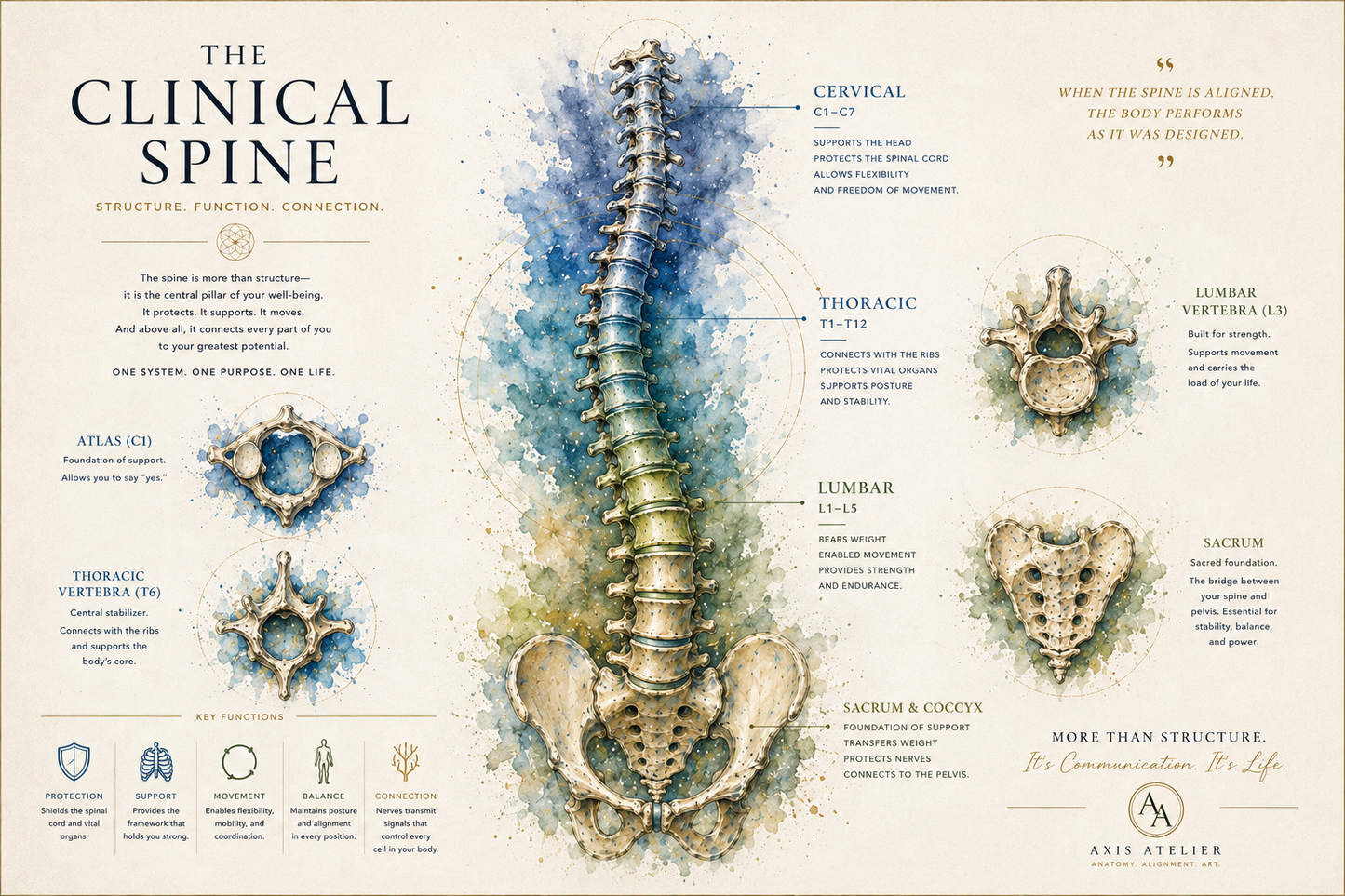 Clinical Spine Overview™