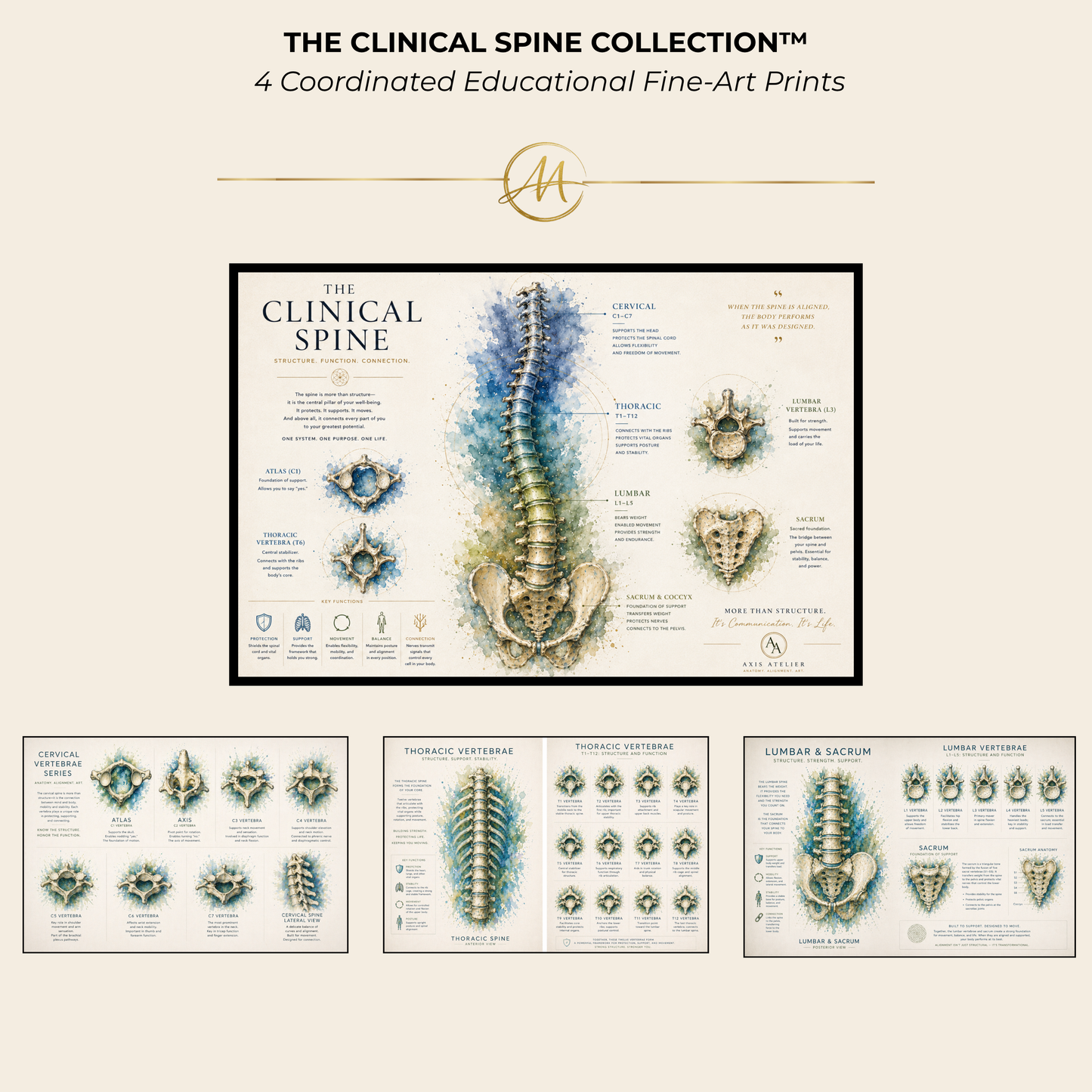 Clinical Spine Collection™ Bundle